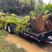 Laulima-landscaping-kihei