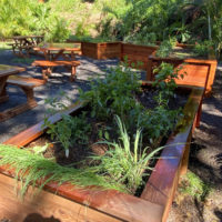 Laulima-landscaping-makena