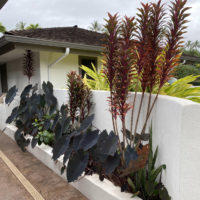 Laulima-landscaping-maui